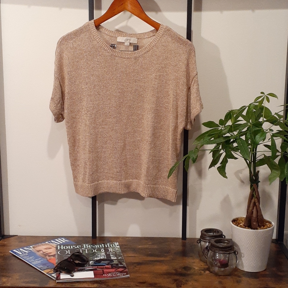 Loft Shimmer Knit Sweater